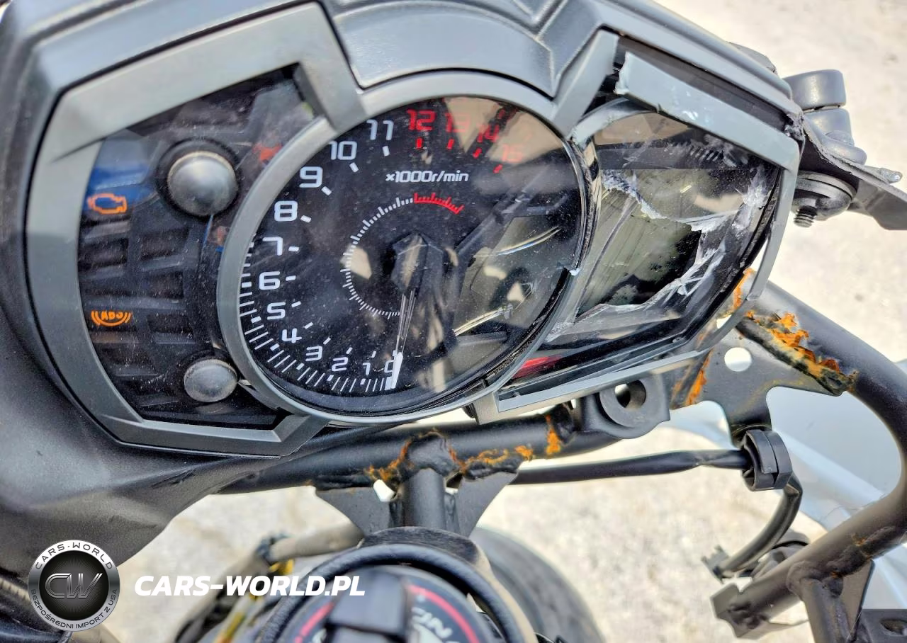 2020 Kawasaki Ninja 1000 VIN:JKAEXKG19LDA81019 - 7