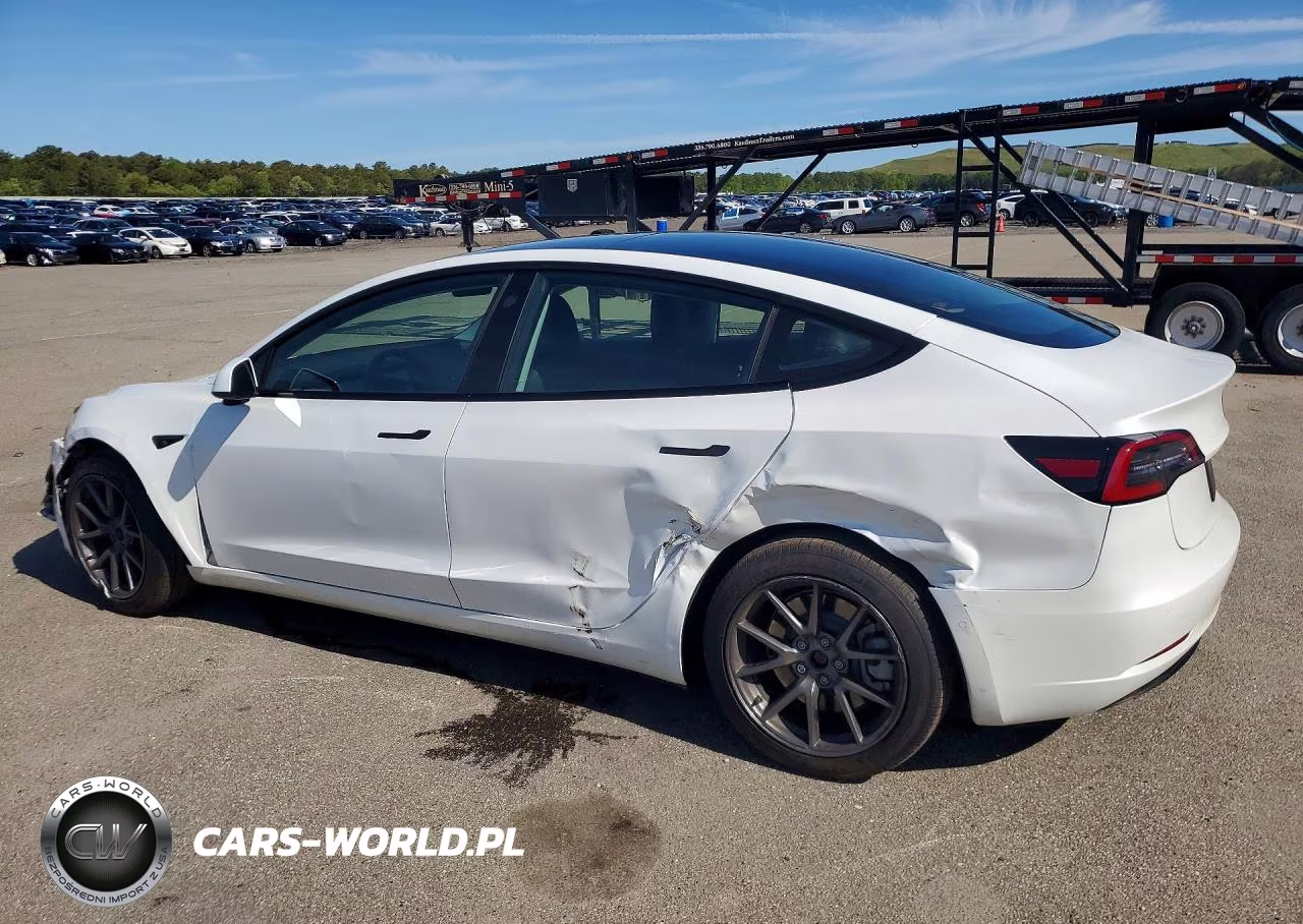 2021 Tesla Model 3 VIN:5YJ3E1EA6MF913360 - 2