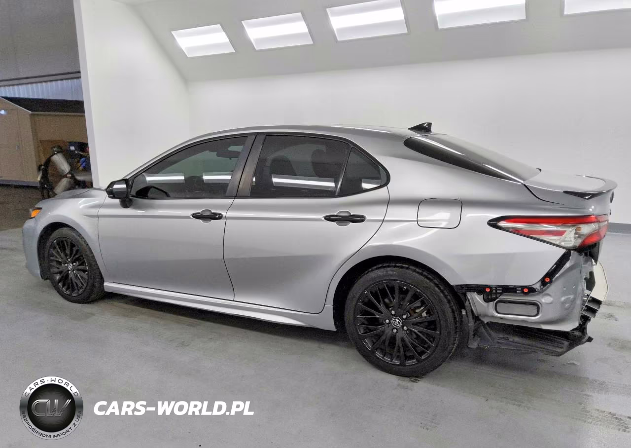 2019 Toyota Camry Se VIN:4T1B11HK3KU259770 - 2