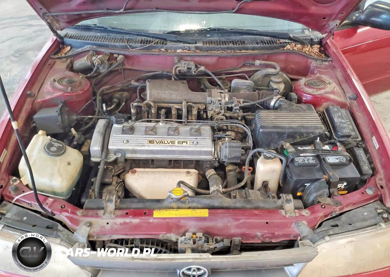 1993 Toyota Corolla Base VIN:1NXAE04E5PZ033862 - 11