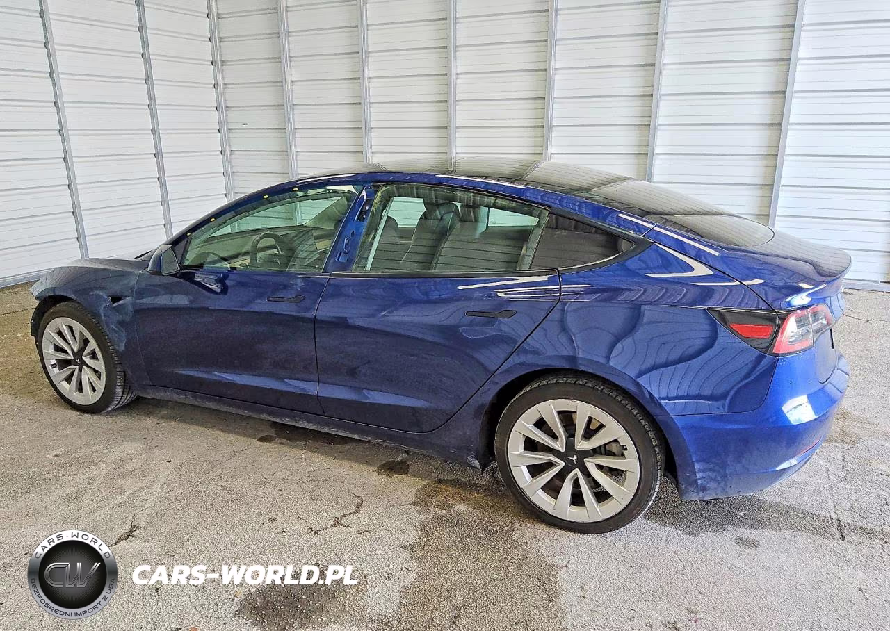 2023 Tesla Model 3 VIN:5YJ3E1EAXPF438025 - 2
