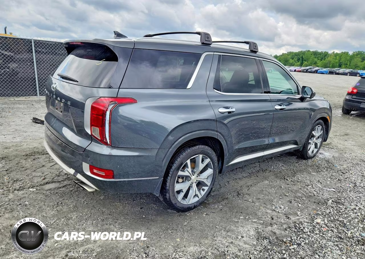 2021 Hyundai Palisade Limited VIN:KM8R54HE6MU191160 - 3
