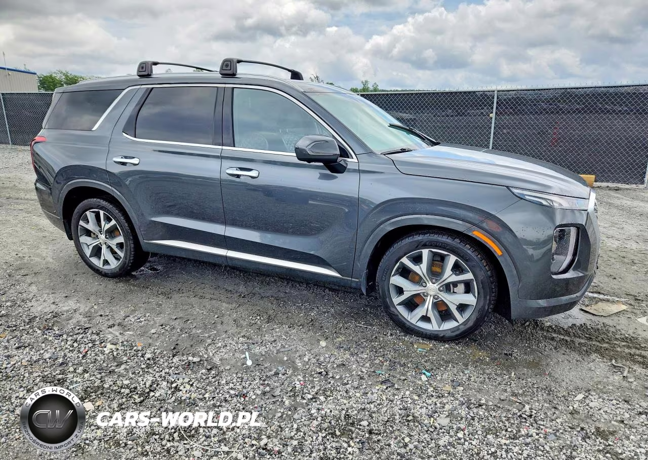2021 Hyundai Palisade Limited VIN:KM8R54HE6MU191160 - 4