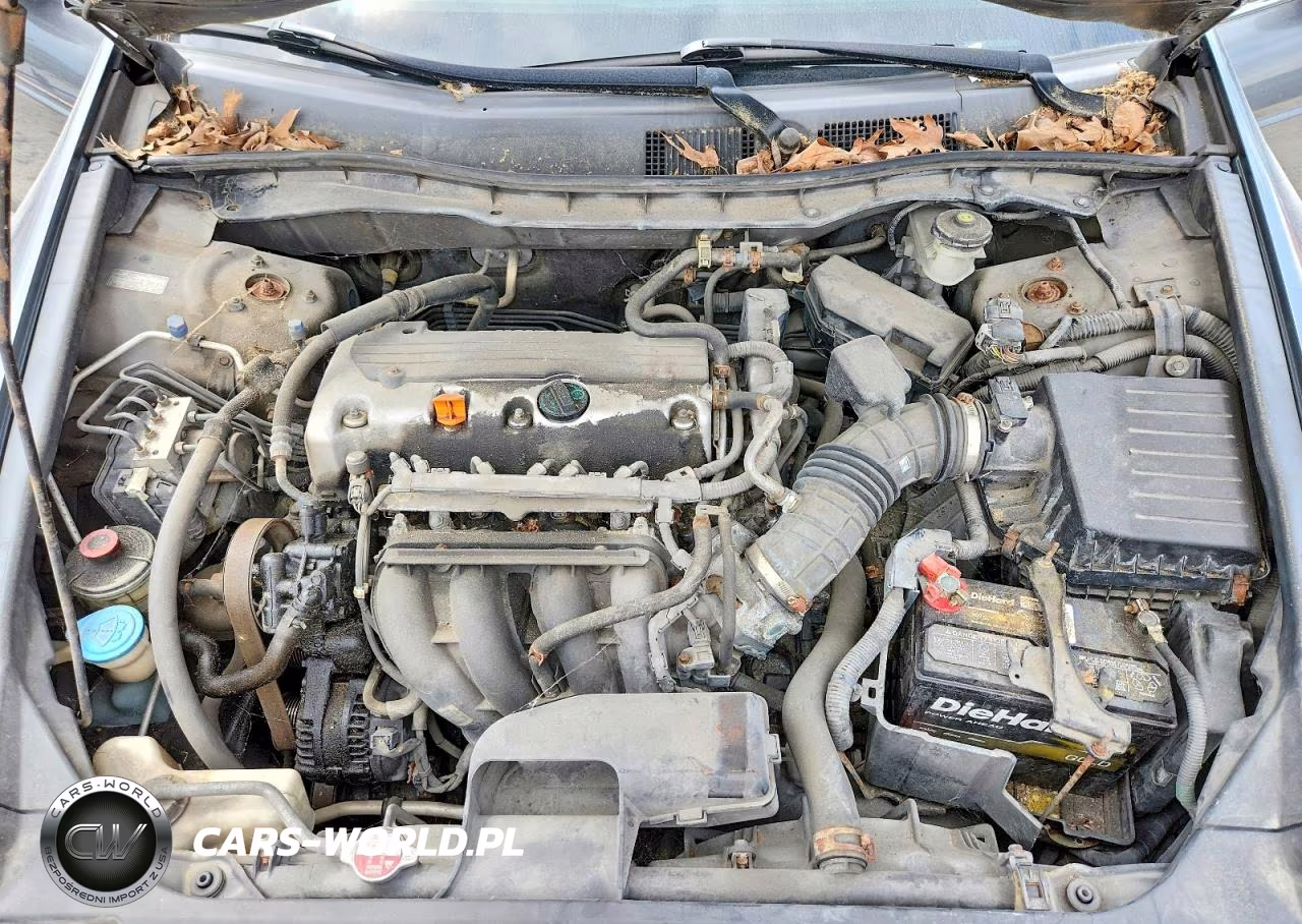 2009 Honda Accord Lx VIN:1HGCP26339A022900 - 11