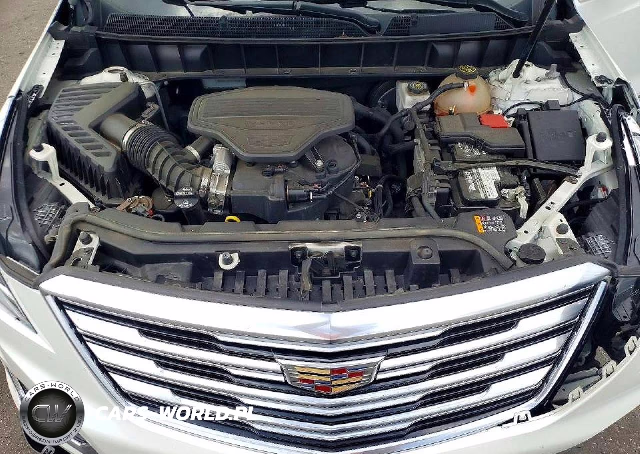 2019 Cadillac Xt5 Premium Luxury VIN:1GYKNERS7KZ289589 - 12