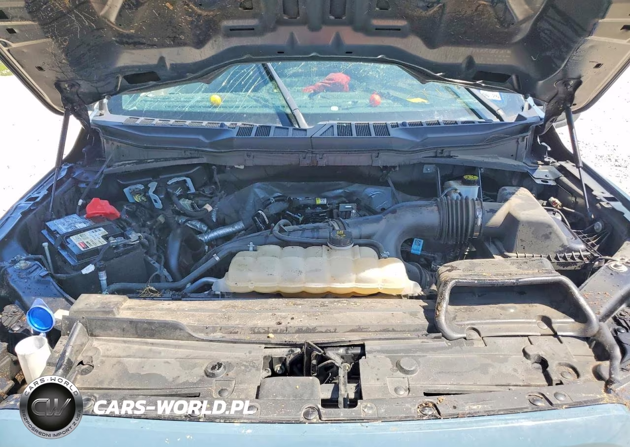 2023 Ford F150 Supercrew VIN:1FTEW1CP9PKD68789 - 11