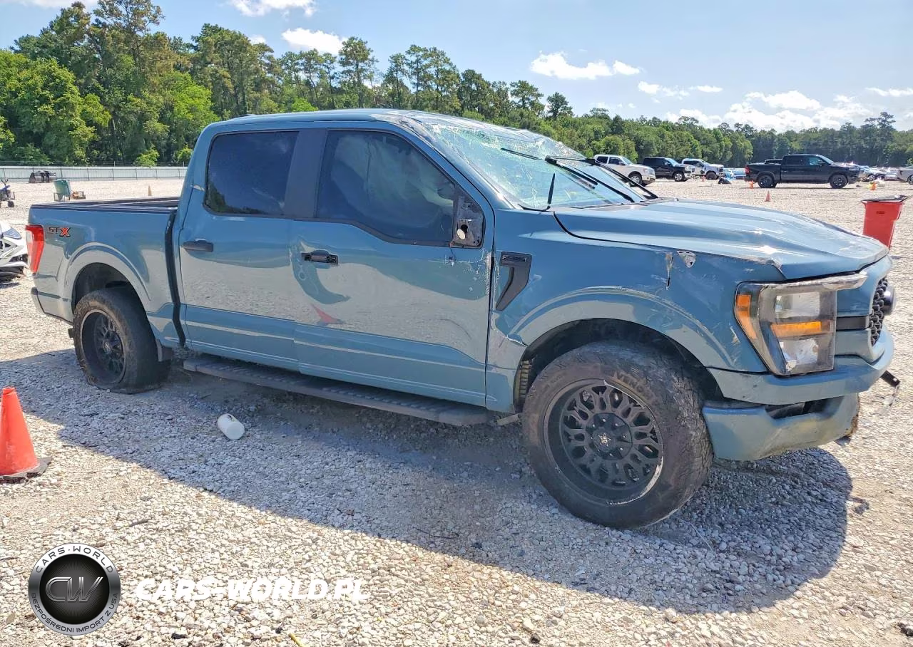 2023 Ford F150 Supercrew VIN:1FTEW1CP9PKD68789 - 4