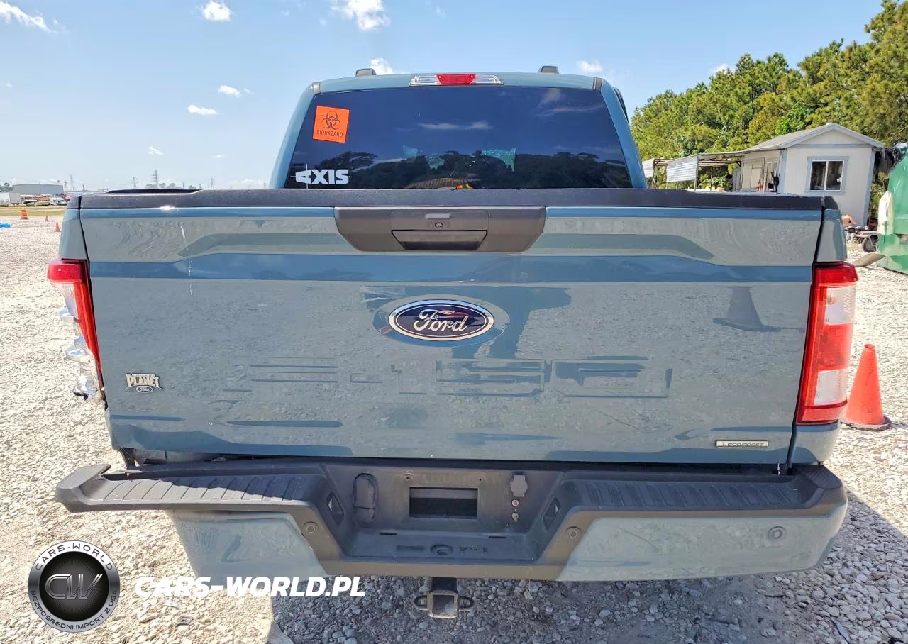 2023 Ford F150 Supercrew VIN:1FTEW1CP9PKD68789 - 6