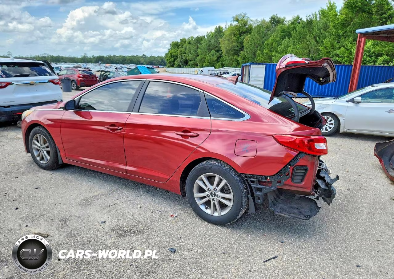2016 Hyundai Sonata Se VIN:5NPE24AF2GH391501 - 2