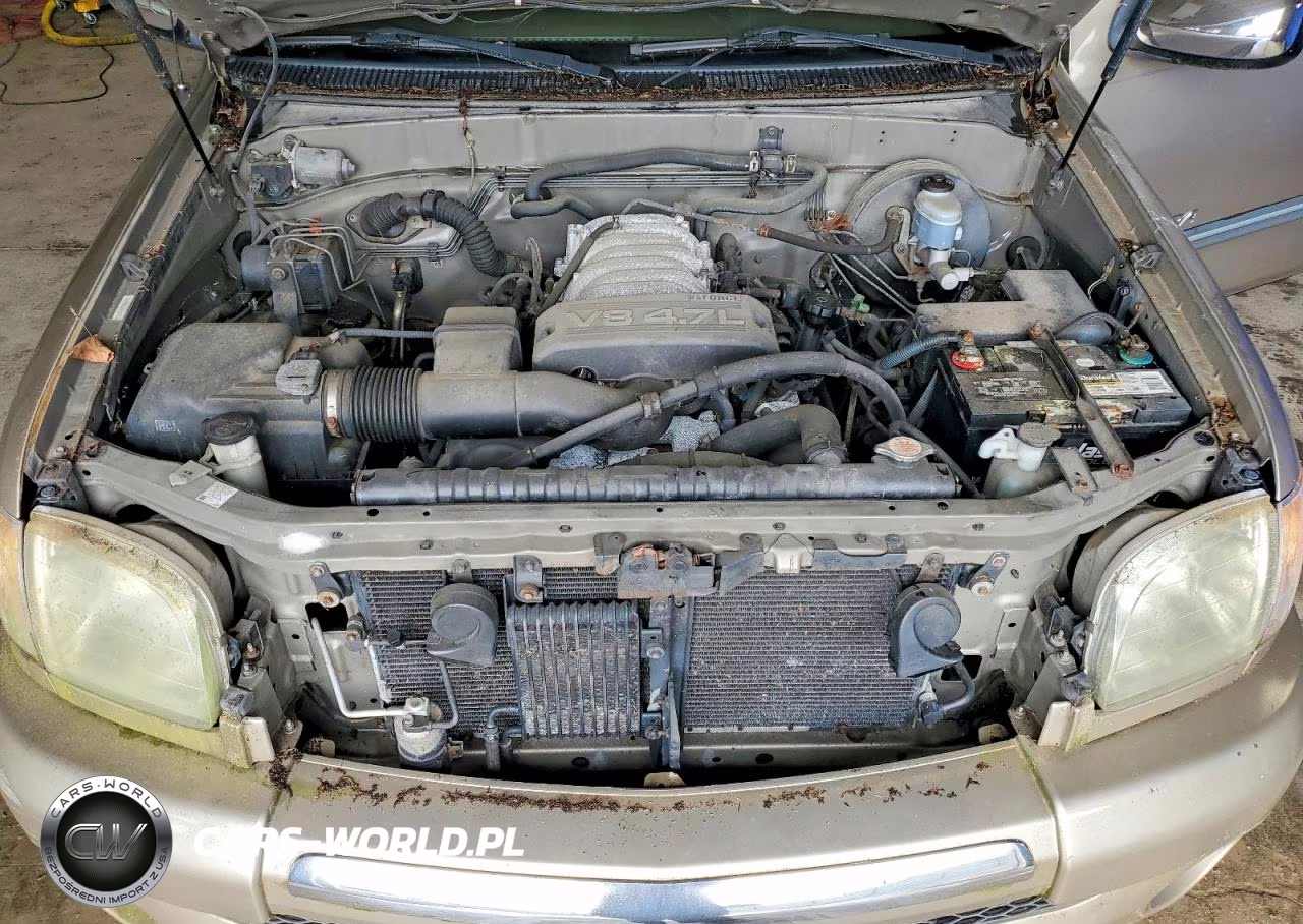 2003 Toyota Tundra Access Cab Sr5 VIN:5TBRT34183S434342 - 11