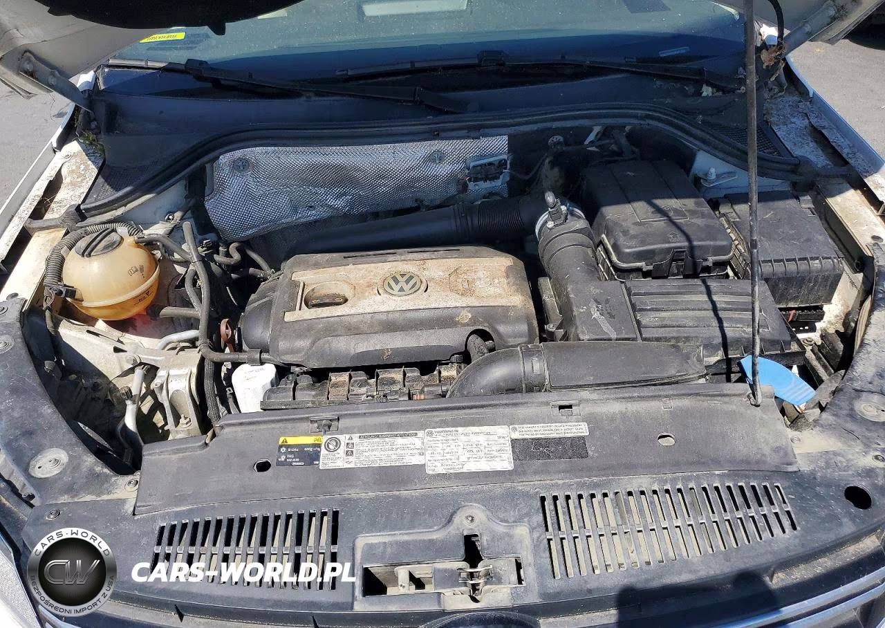2013 Volkswagen Tiguan S VIN:WVGBV3AXXDW601034 - 12