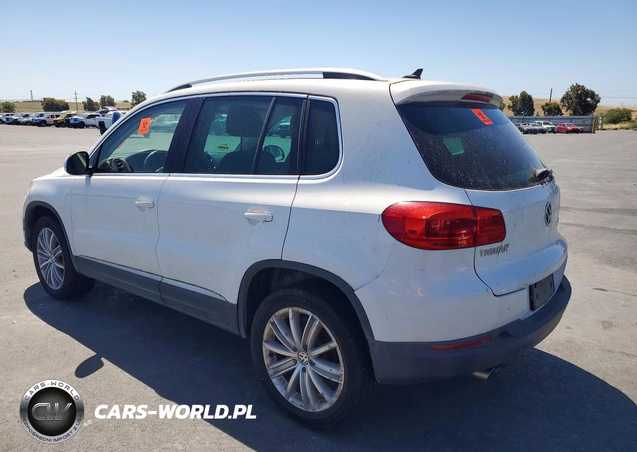 2013 Volkswagen Tiguan S VIN:WVGBV3AXXDW601034 - 2