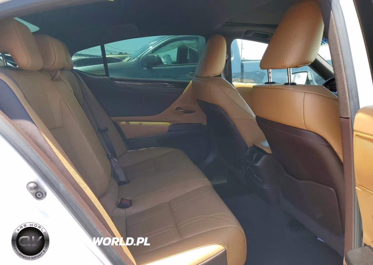2020 Lexus Es 350 Luxury VIN:58AEZ1B1XLU053426 - 10