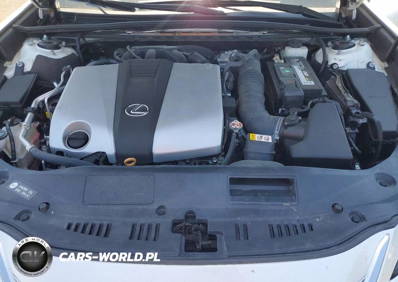 2020 Lexus Es 350 Luxury VIN:58AEZ1B1XLU053426 - 11