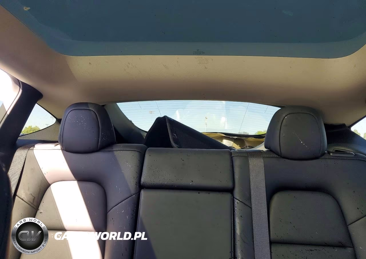 2025 Tesla Model Y VIN:7SAYGDEE1SF281758 - 10