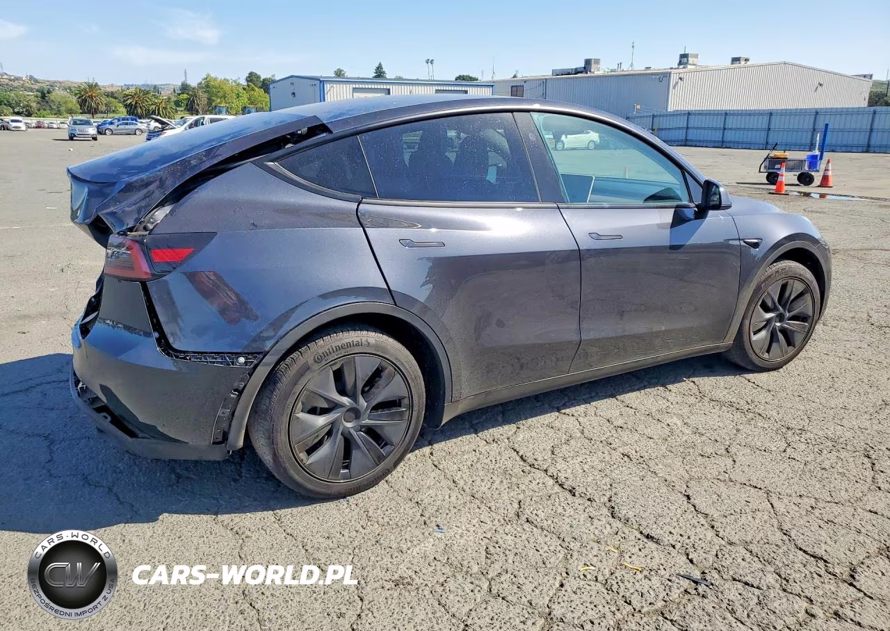 2025 Tesla Model Y VIN:7SAYGDEE1SF281758 - 3