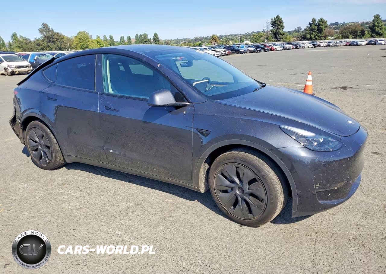 2025 Tesla Model Y VIN:7SAYGDEE1SF281758 - 4