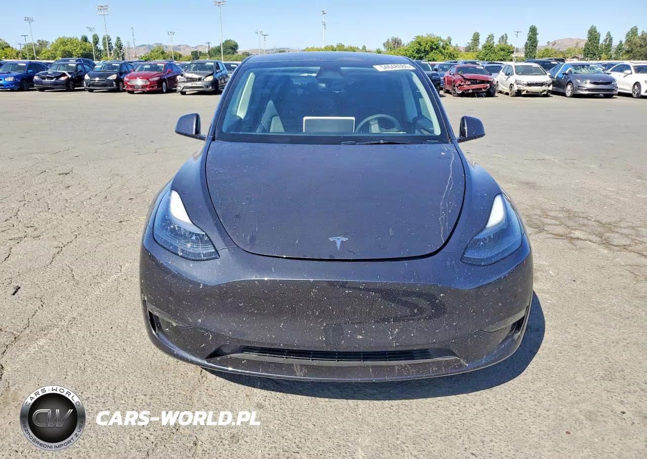 2025 Tesla Model Y VIN:7SAYGDEE1SF281758 - 5