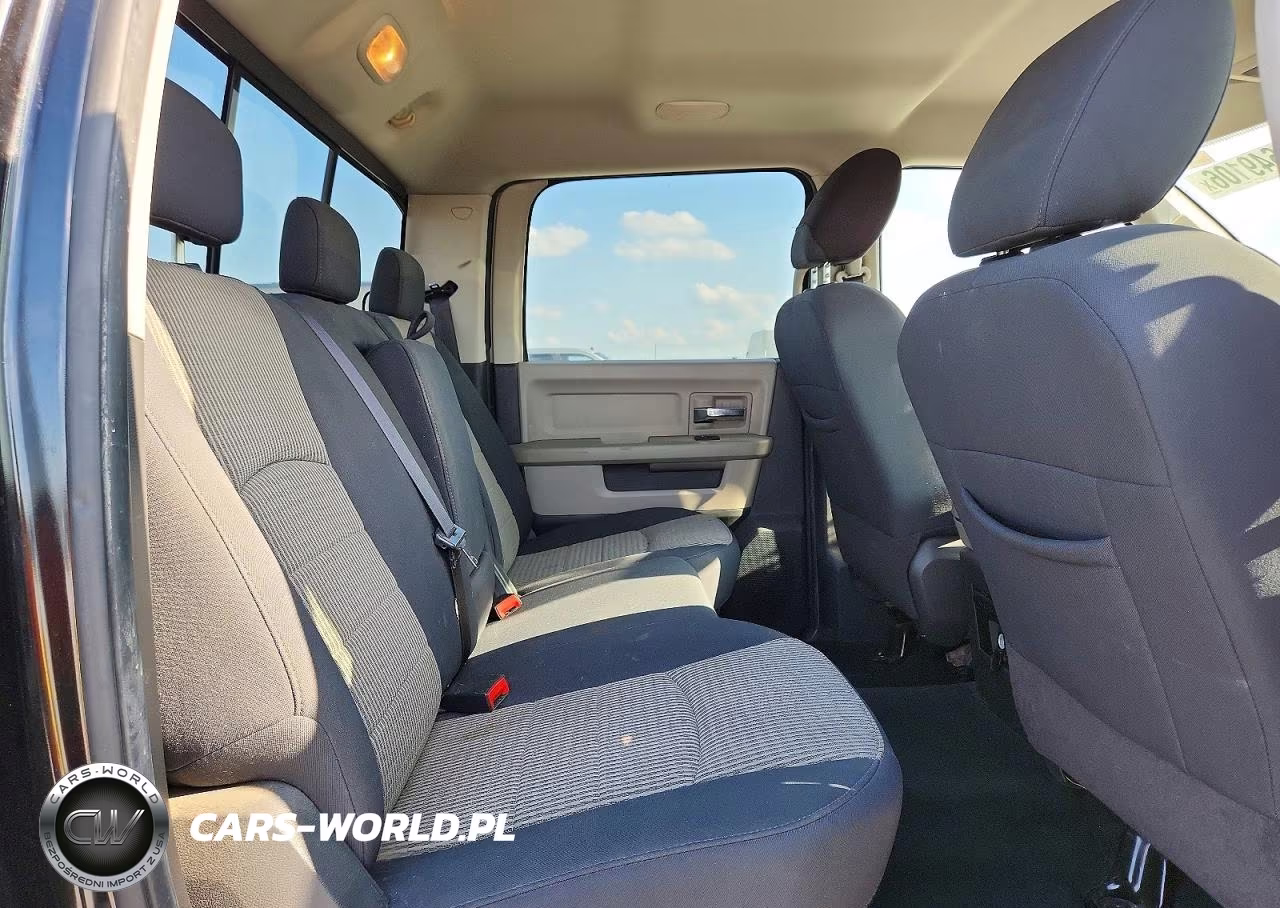 2010 Dodge Ram 1500 VIN:1D7RB1CT2AS203805 - 10