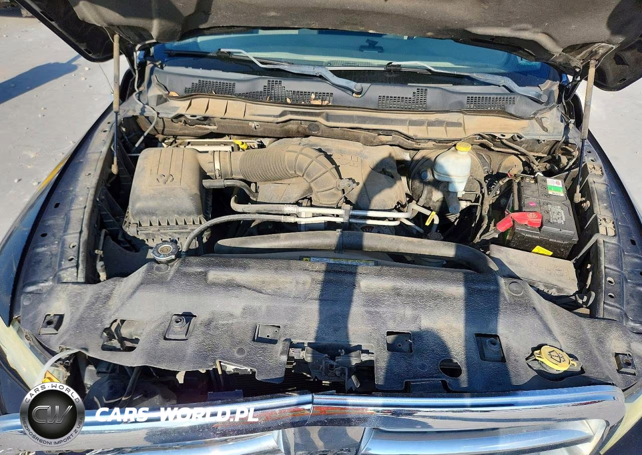 2010 Dodge Ram 1500 VIN:1D7RB1CT2AS203805 - 11