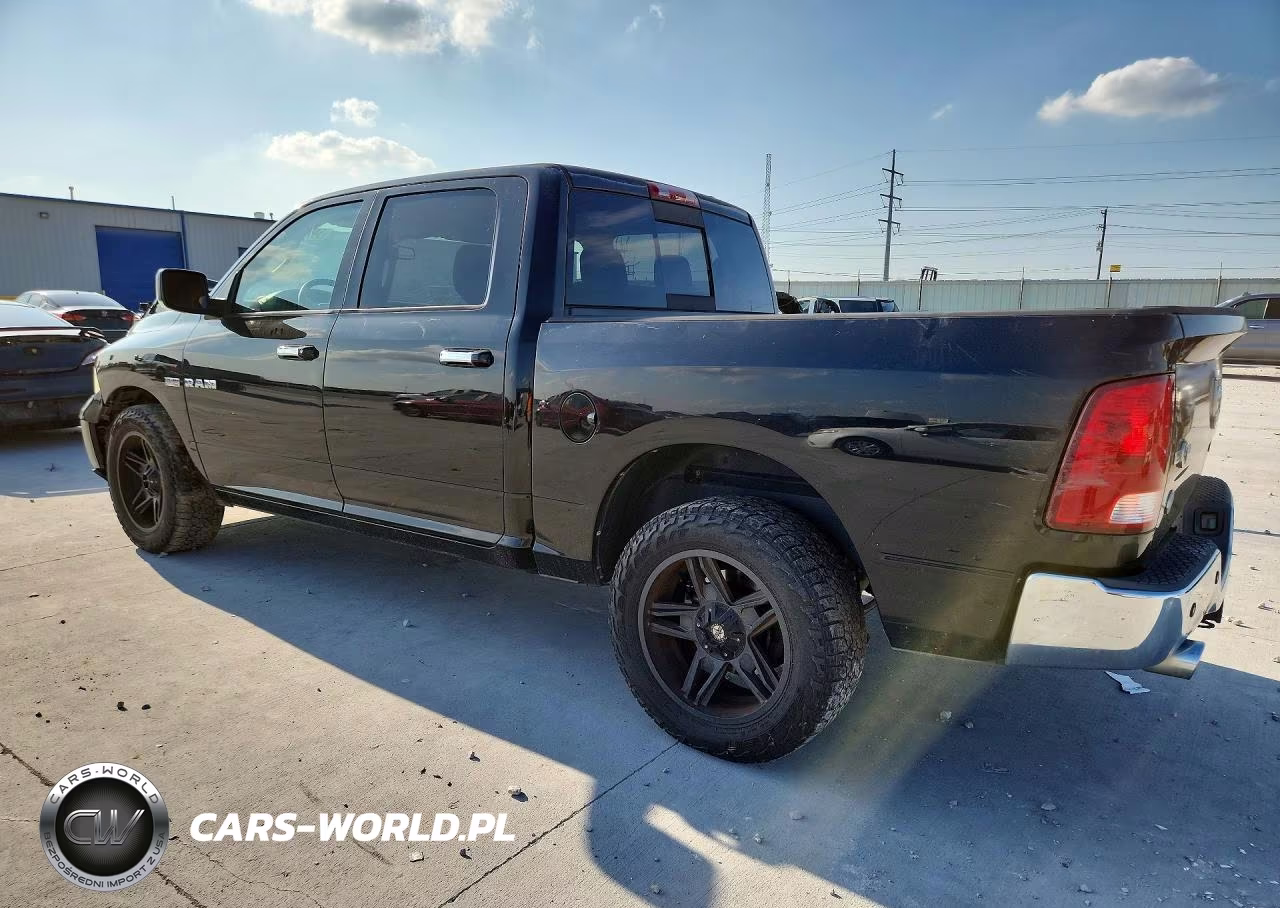 2010 Dodge Ram 1500 VIN:1D7RB1CT2AS203805 - 2