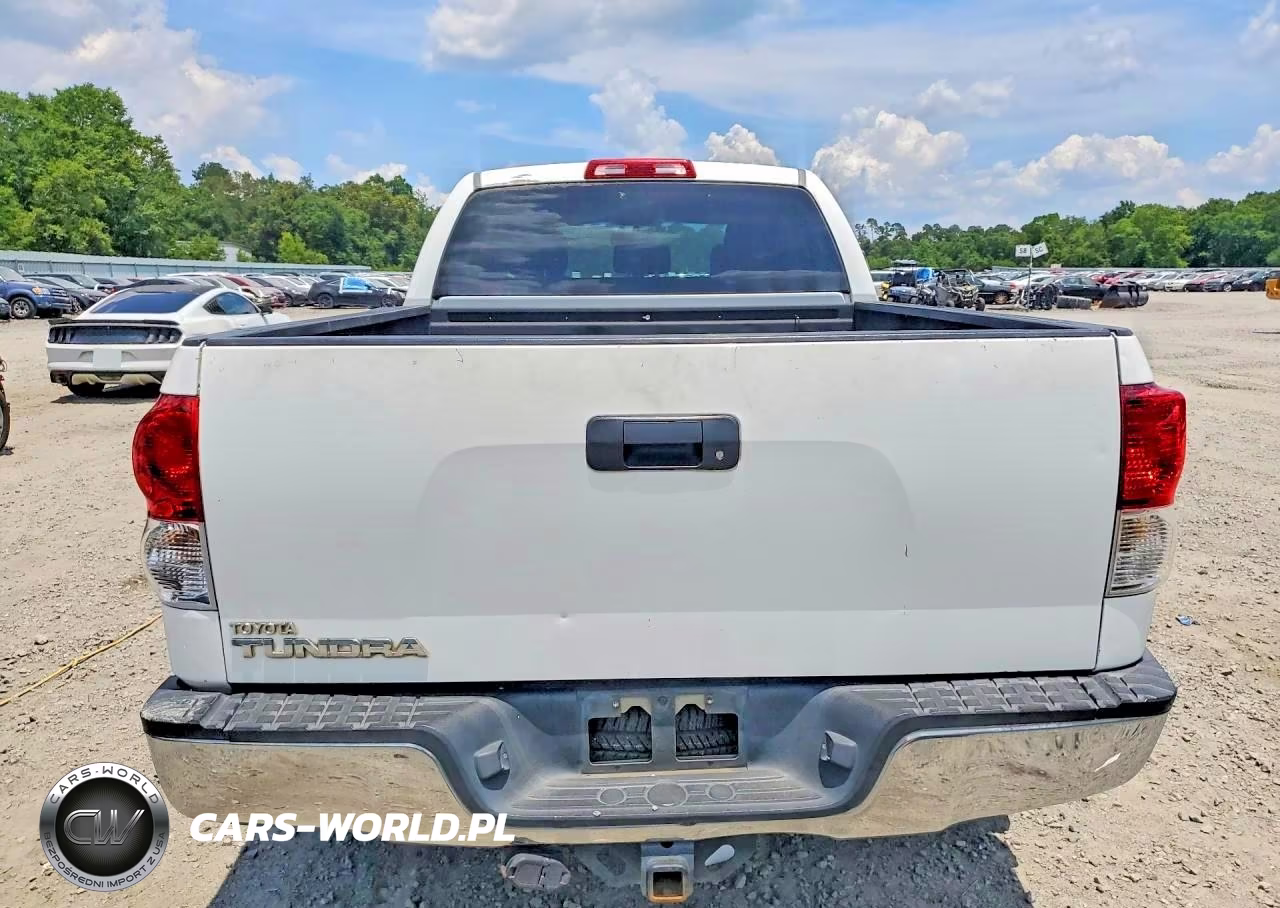 2010 Toyota Tundra Double Cab Sr5 VIN:5TFRM5F17AX008193 - 6