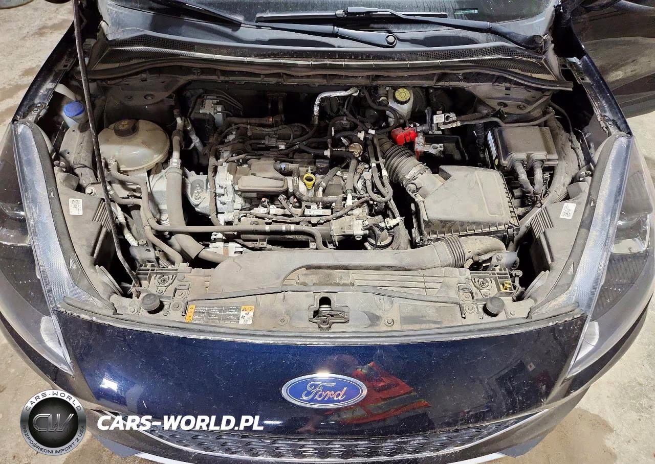 2021 Ford Escape Sel VIN:1FMCU0H64MUA78169 - 12