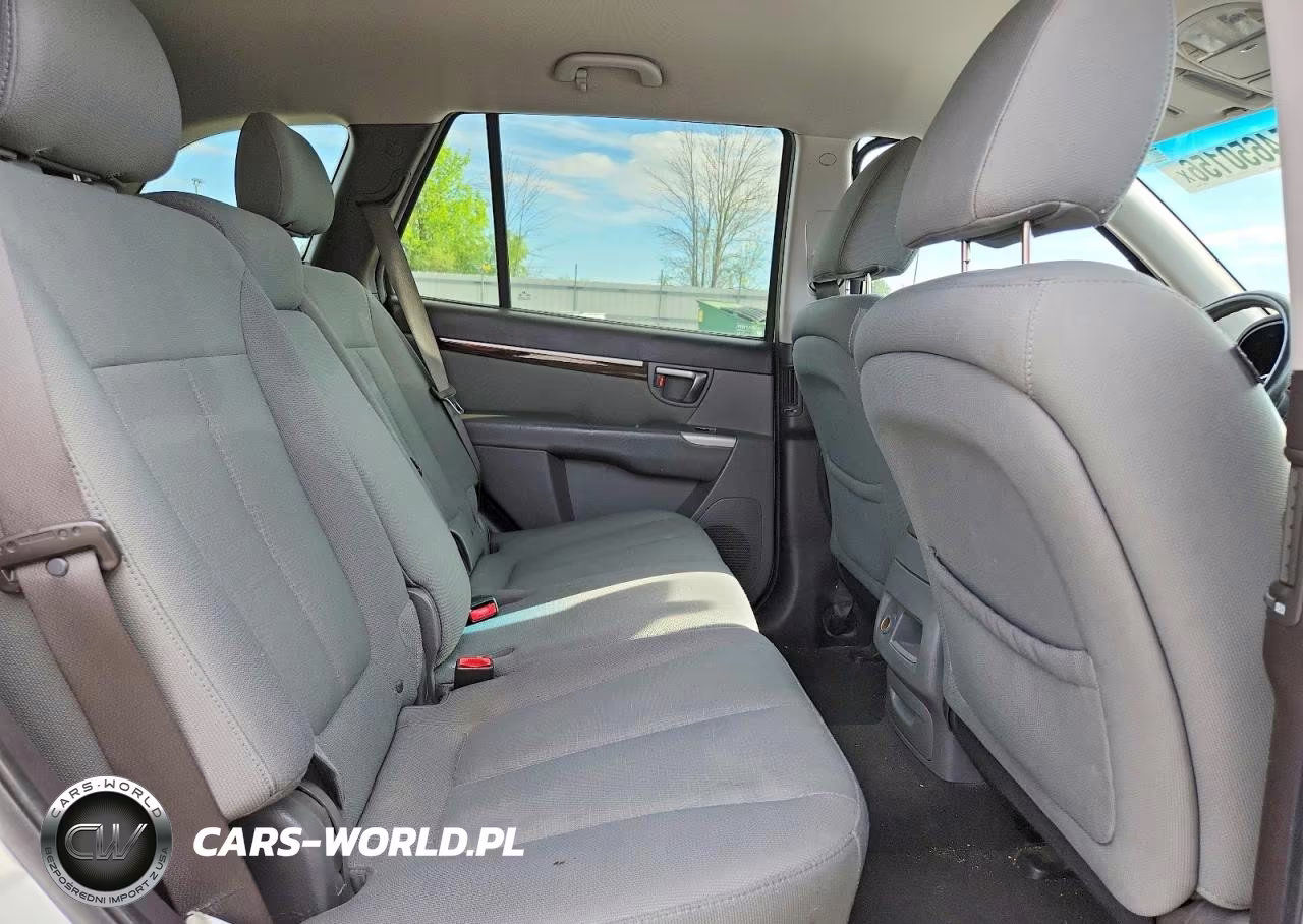 2010 Hyundai Santa Fe Gls VIN:5NMSG3AB6AH358906 - 10
