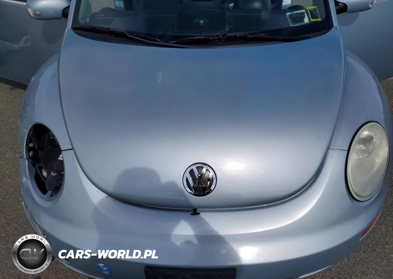 2009 Volkswagen New Beetle S VIN:3VWRG31Y29M407088 - 11