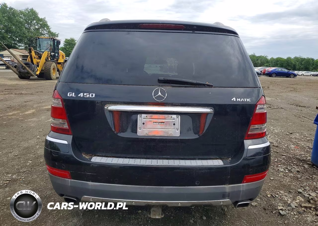 2008 Mercedes-Benz Gl 450 4Matic VIN:4JGBF71E38A407712 - 6