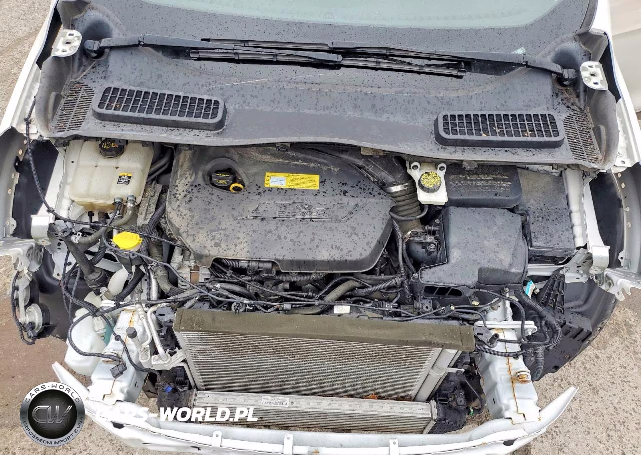 2013 Ford Escape Sel VIN:1FMCU0HX2DUA52470 - 12