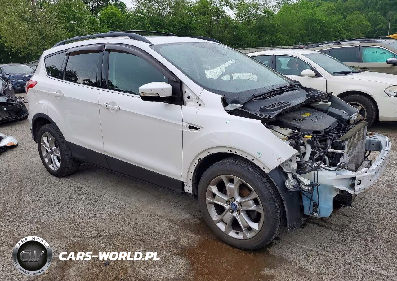 2013 Ford Escape Sel VIN:1FMCU0HX2DUA52470 - 4