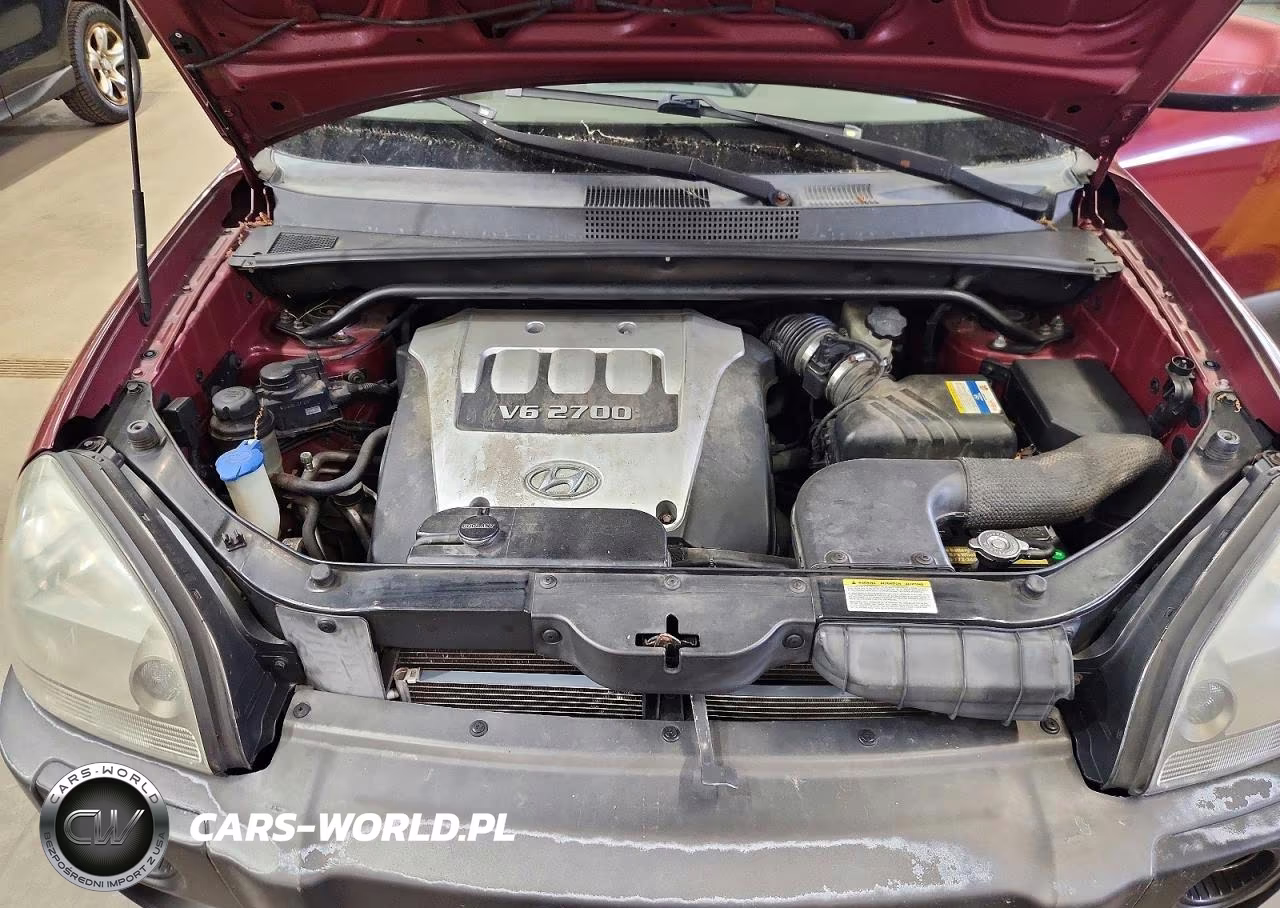 2006 Hyundai Tucson Gls VIN:KM8JN12D96U343723 - 12