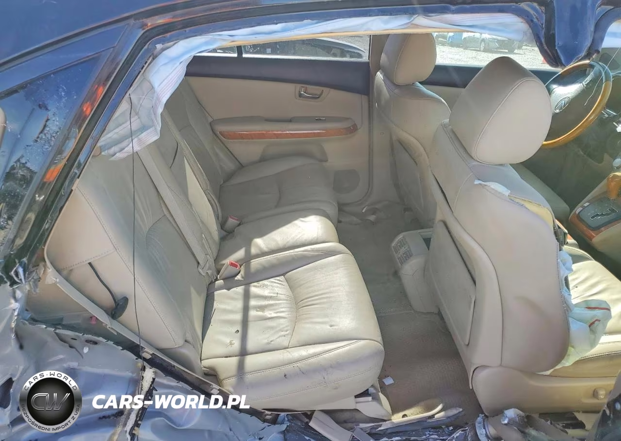 2006 Lexus Rx 400 VIN:JTJHW31U862004196 - 10