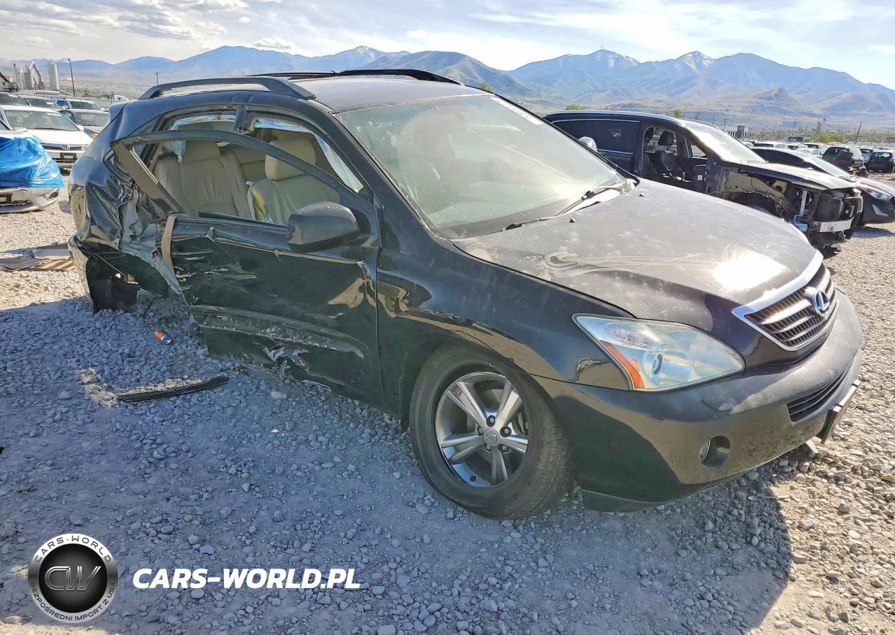 2006 Lexus Rx 400 VIN:JTJHW31U862004196 - 4