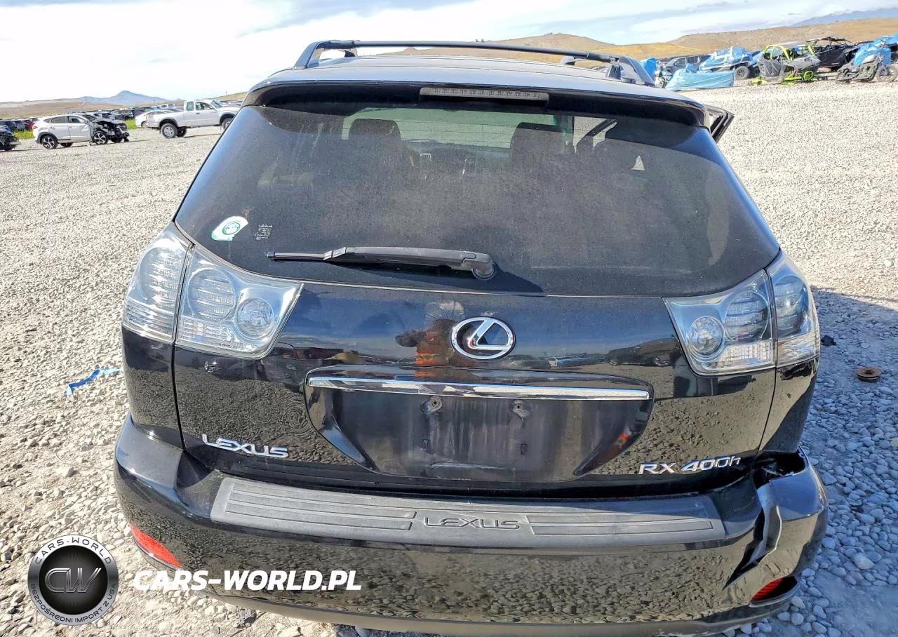 2006 Lexus Rx 400 VIN:JTJHW31U862004196 - 6