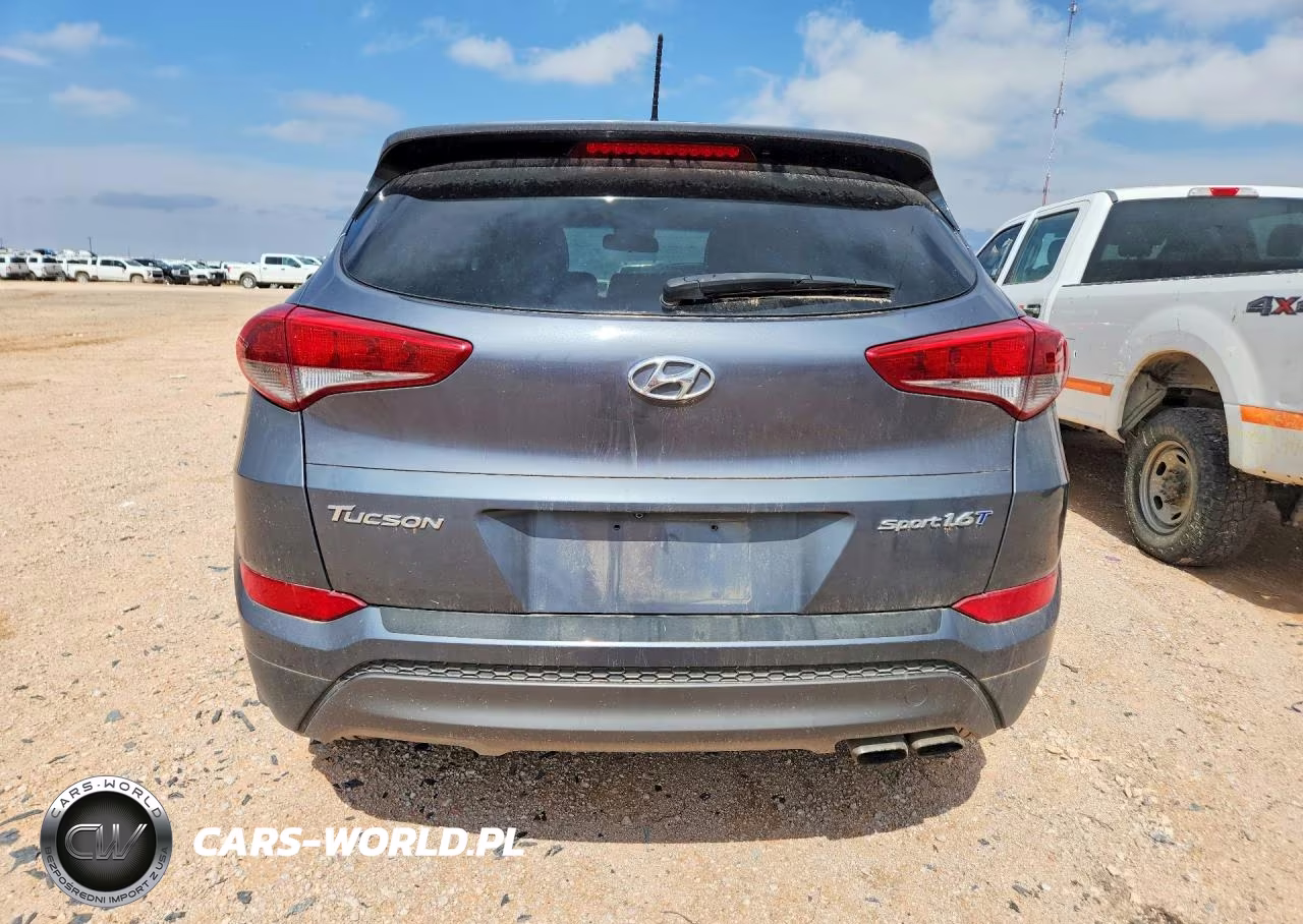 2016 Hyundai Tucson Sport VIN:KM8J33A23GU194549 - 6
