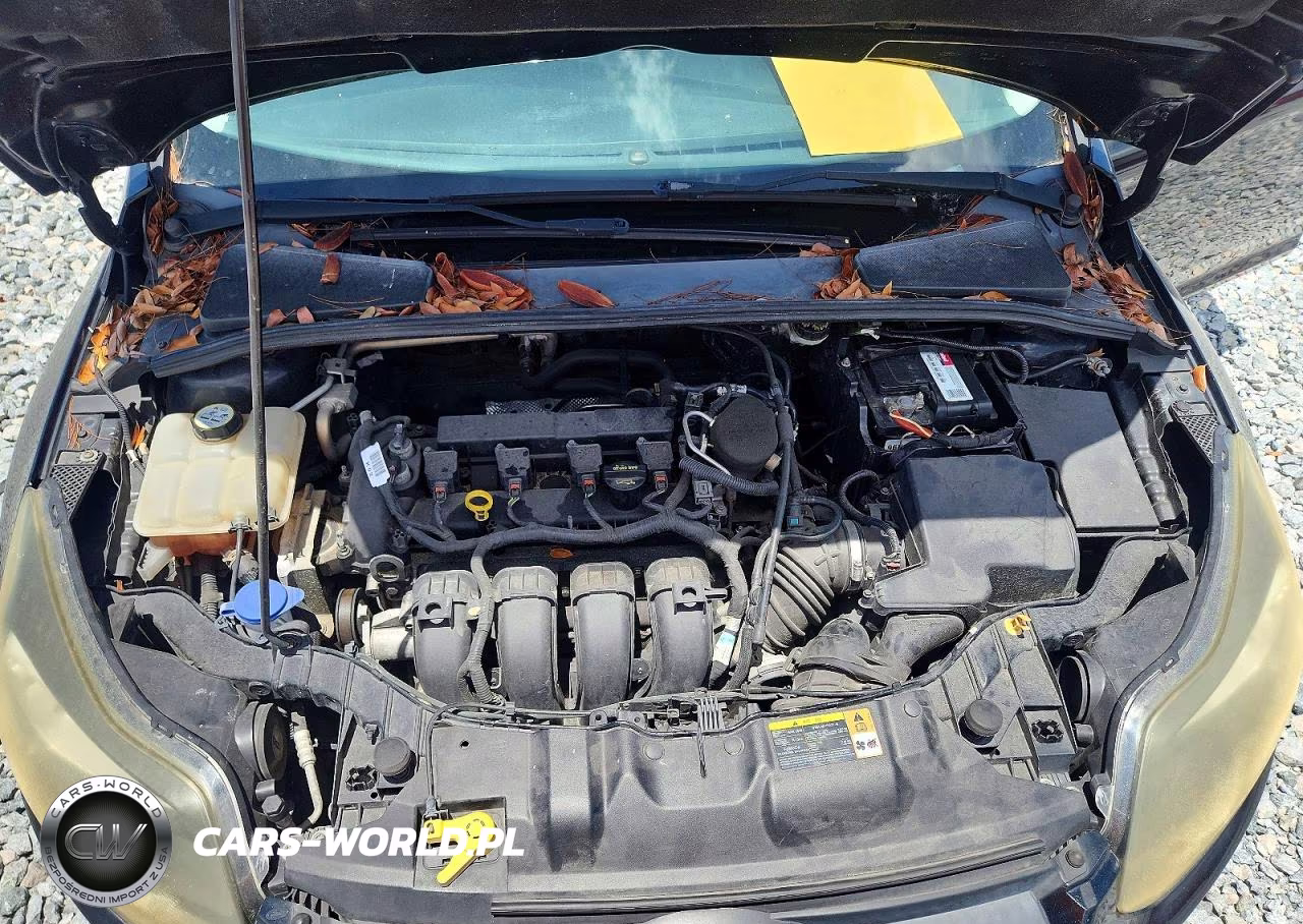 2013 Ford Focus Se VIN:1FADP3K22DL265445 - 11