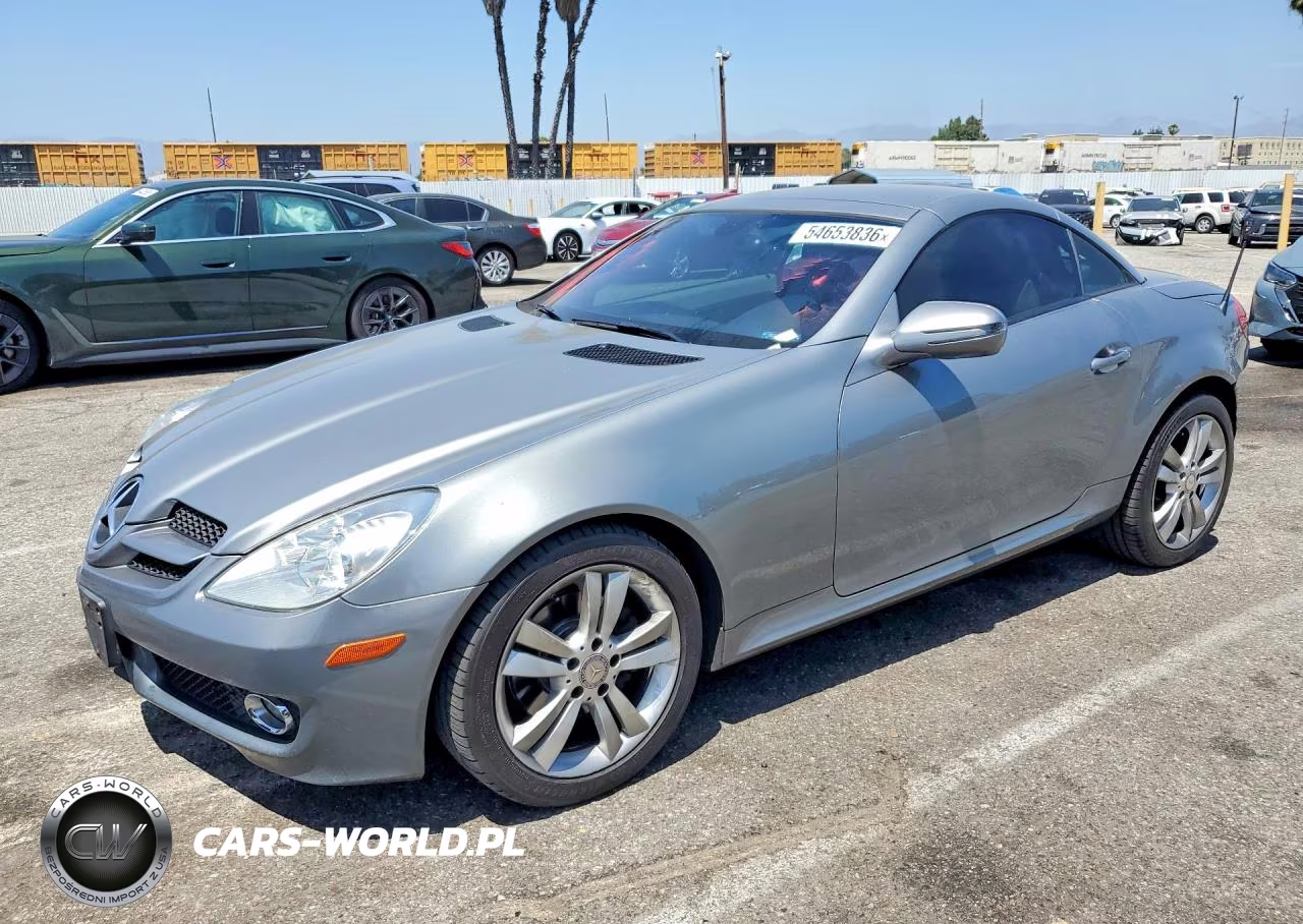 2010 Mercedes-Benz Slk 300