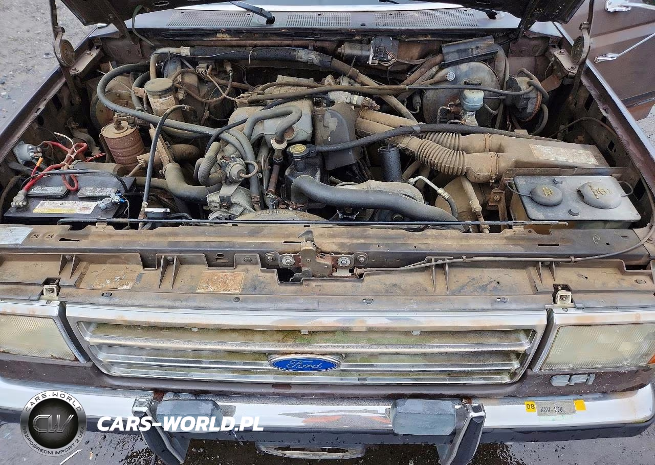 1988 Ford F150 VIN:1FTEF15Y6JNB38963 - 11