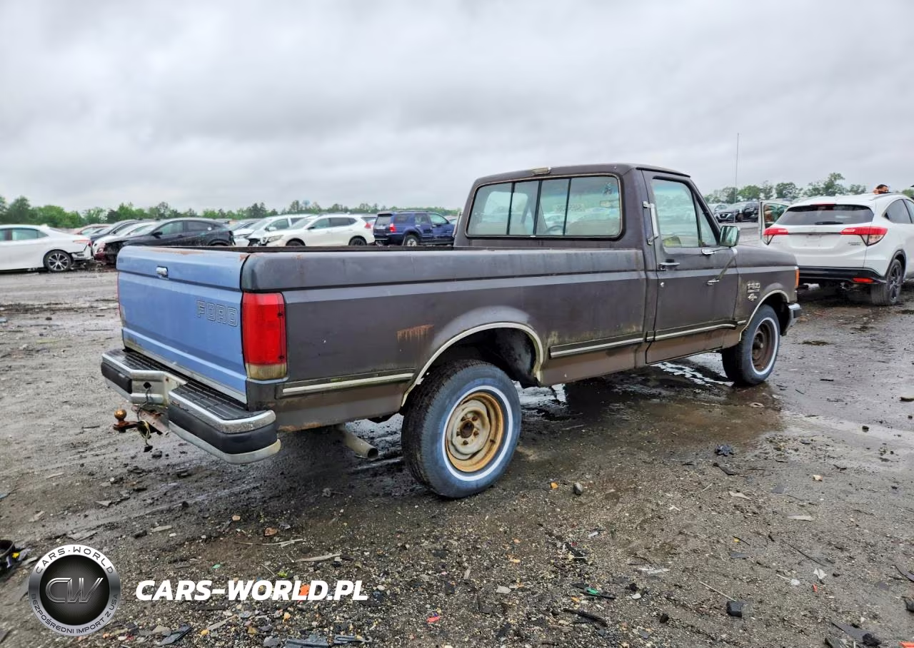1988 Ford F150 VIN:1FTEF15Y6JNB38963 - 3