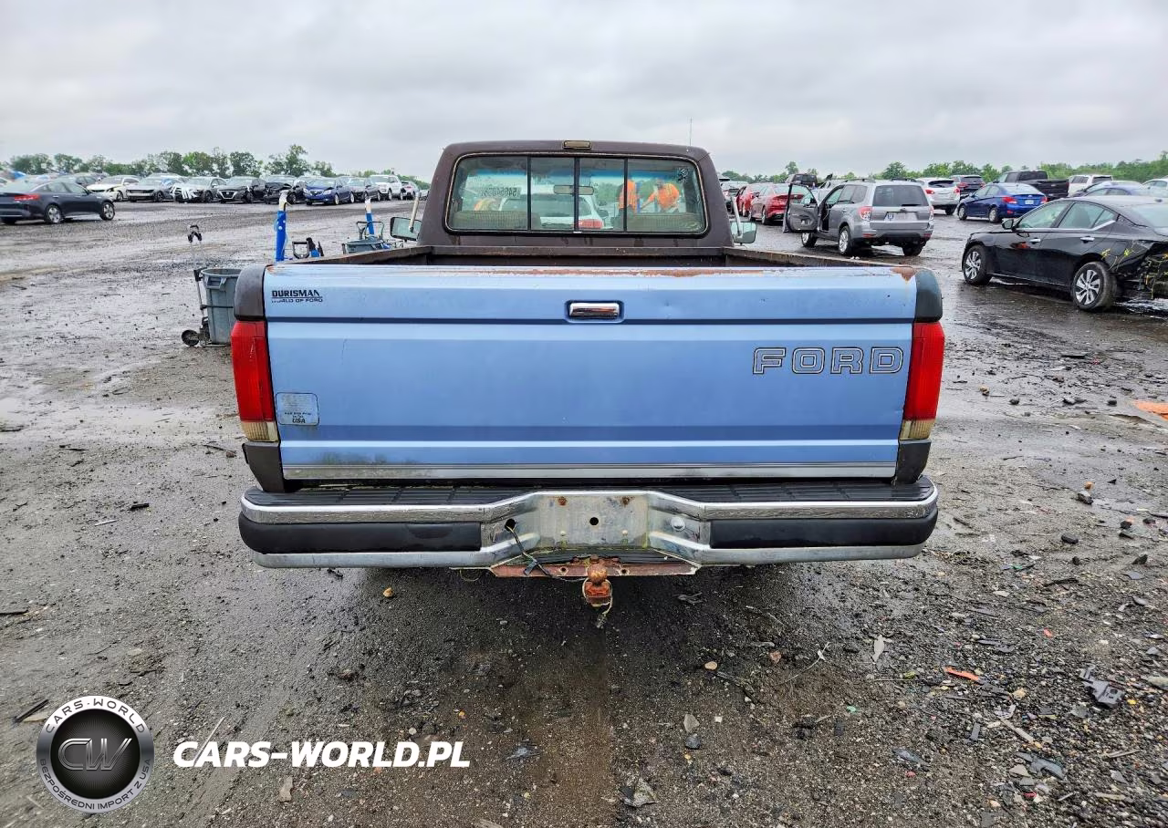 1988 Ford F150 VIN:1FTEF15Y6JNB38963 - 6