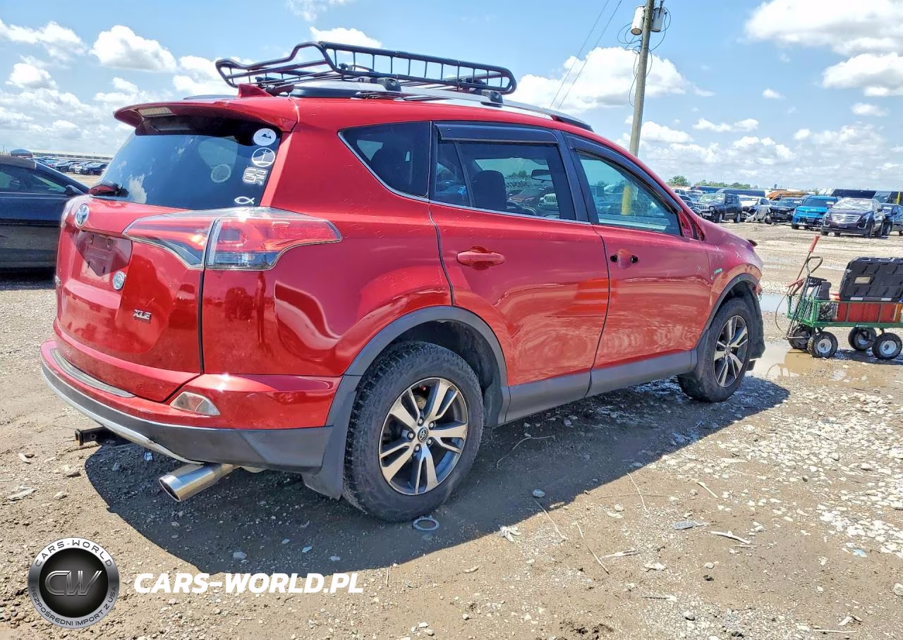 2016 Toyota Rav4 Xle VIN:2T3WFREV3GW250615 - 3