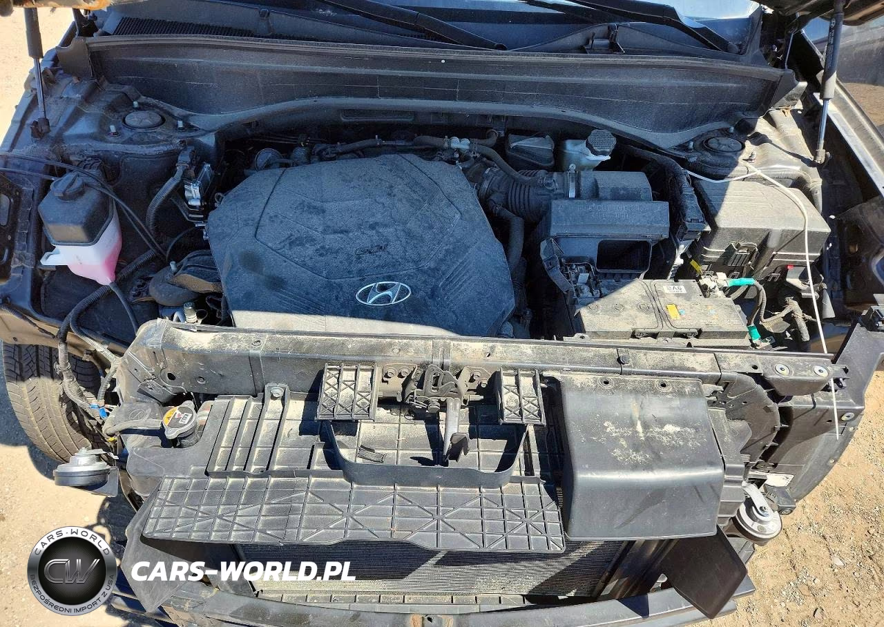 2023 Hyundai Palisade Xrt VIN:KM8R3DGE9PU553137 - 12