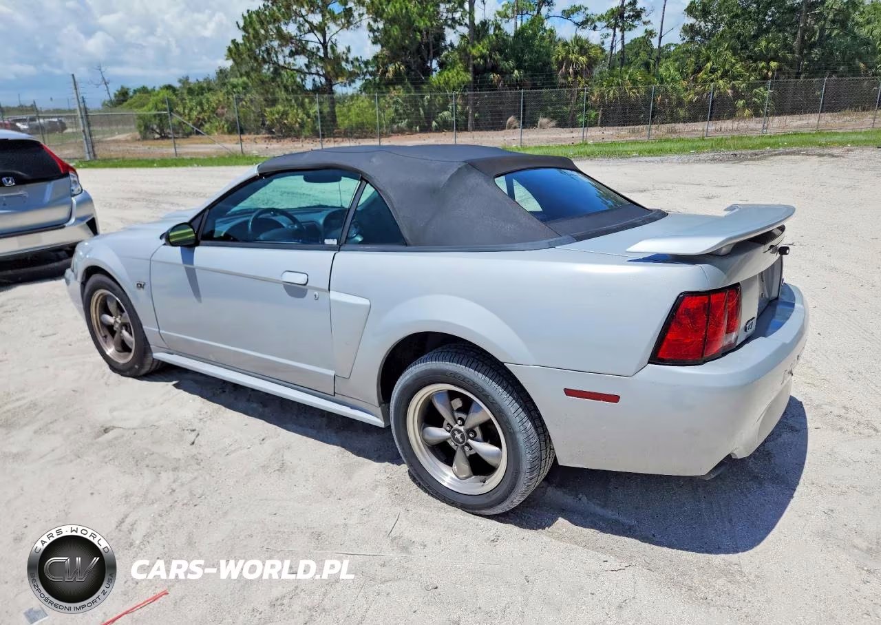 2003 Ford Mustang Gt VIN:1FAFP45XX3F321585 - 2