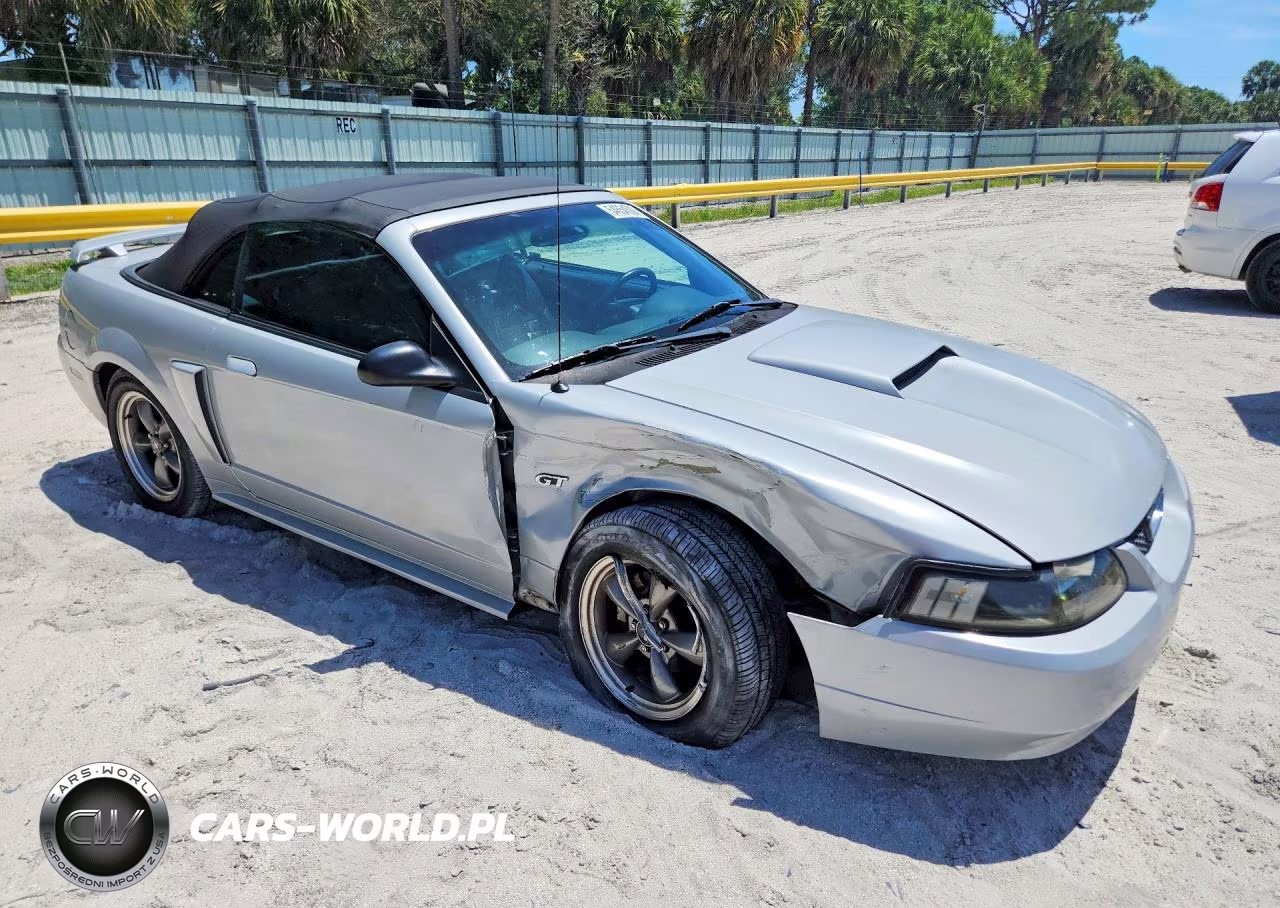 2003 Ford Mustang Gt VIN:1FAFP45XX3F321585 - 4