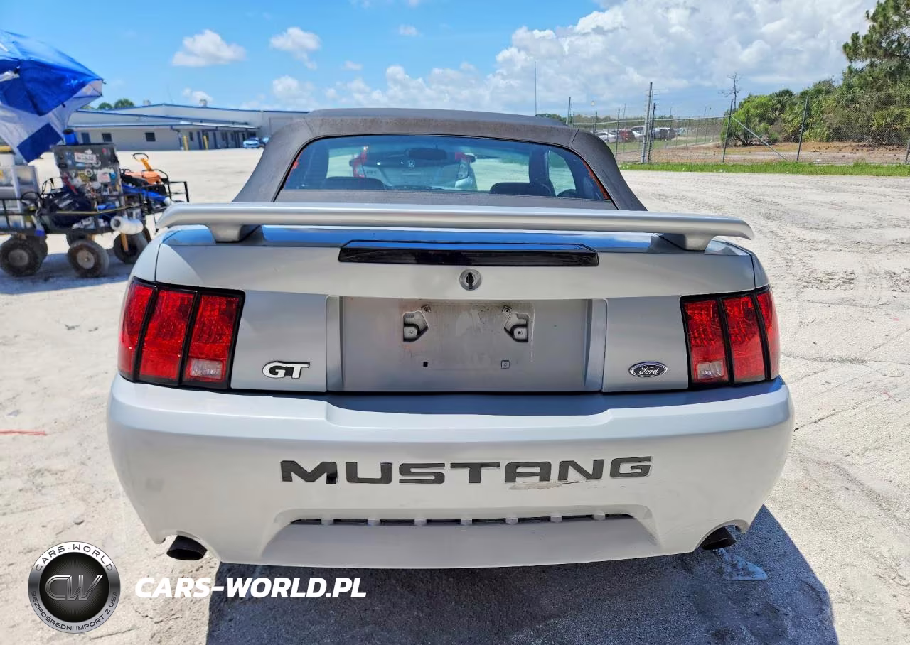2003 Ford Mustang Gt VIN:1FAFP45XX3F321585 - 6