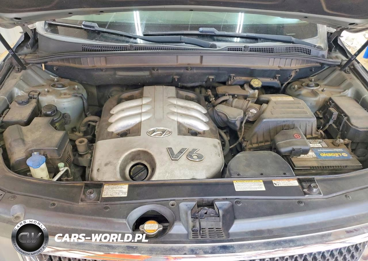 2007 Hyundai Veracruz Gls VIN:KM8NU13C07U005221 - 12