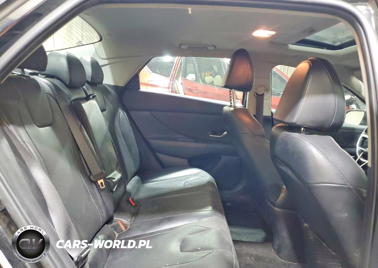 2021 Hyundai Elantra Limited VIN:KMHLN4AJ8MU004935 - 10
