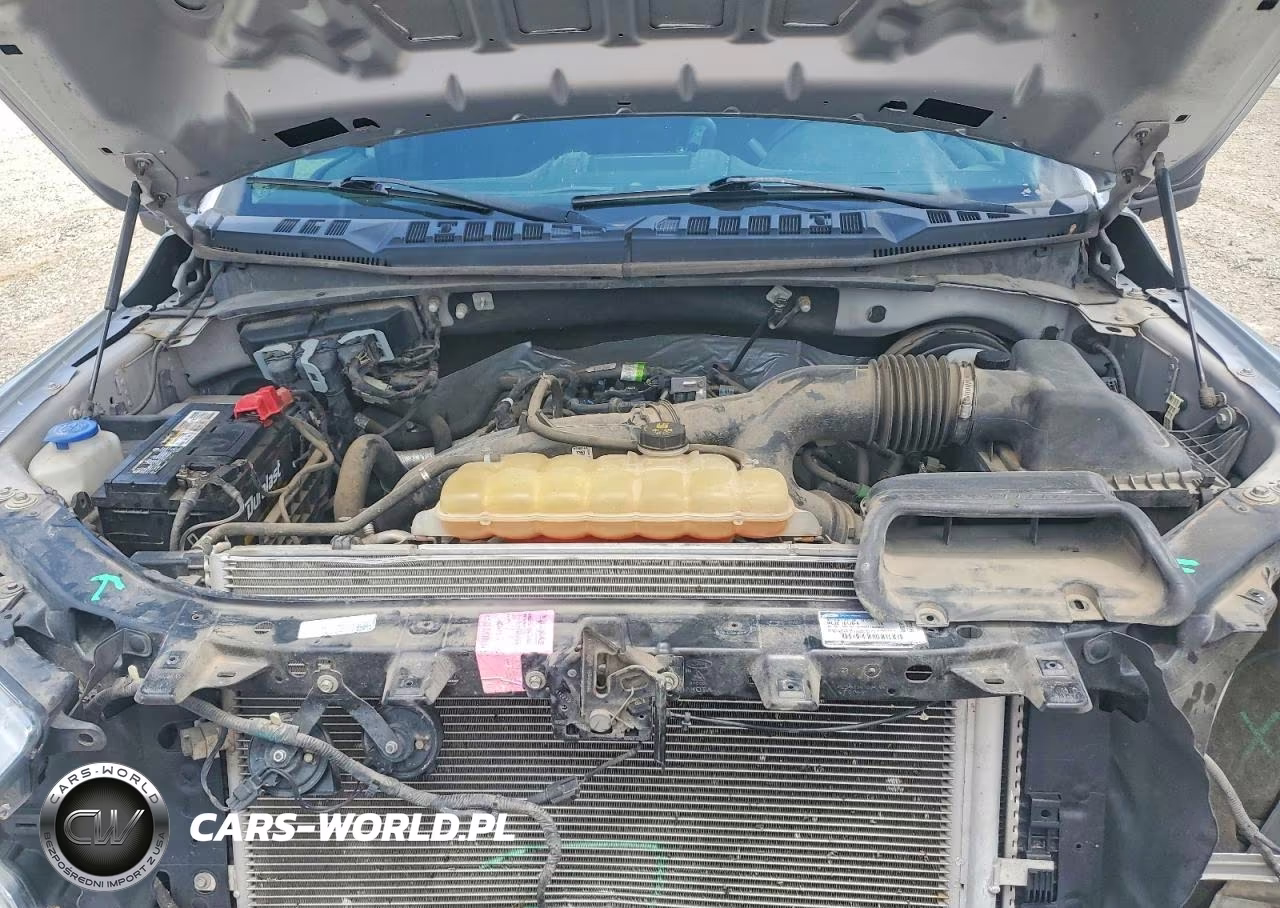 2019 Ford F150 Supercrew VIN:1FTEW1CP5KKD96405 - 11
